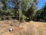 13119 Ridge View Drive - Photo 3
