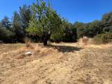 13119 Ridge View Drive - Photo 37