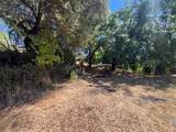 13119 Ridge View Drive - Photo 8