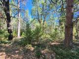 2324 Wagner Road - Photo 21