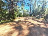 2324 Wagner Road - Photo 4