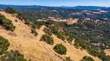 16336 King Road - Photo 2
