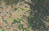 16336 King Road - Photo 3