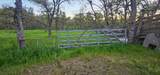 9145 Hunters Valley Road - Photo 7