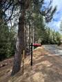 25488 Meadow Drive - Photo 3