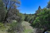 6412 Mt. Aukum Road - Photo 20