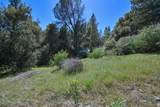 6412 Mt. Aukum Road - Photo 9