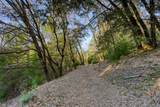 3 The Bluffs Way - Photo 17