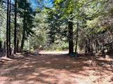 25442 Back Bone Road - Photo 35