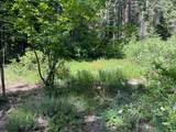 25442 Back Bone Road - Photo 41