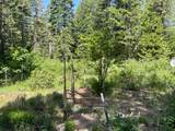 25442 Back Bone Road - Photo 44