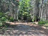 25442 Back Bone Road - Photo 45