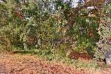 7033 Garden Highway - Photo 9