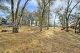 13011 Austin Forest Circle - Photo 8