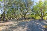 10095 Mount Rose Road - Photo 58