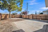 2103 Sampson Street - Photo 54