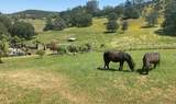 178 Carmel Road - Photo 61