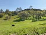 178 Carmel Road - Photo 63