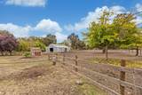 12578 Lee School Cross Road - Photo 83