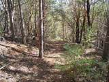 6001 Bear Creek Road - Photo 23