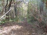 6001 Bear Creek Road - Photo 26