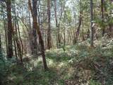 6001 Bear Creek Road - Photo 28