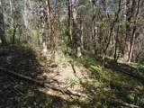 6001 Bear Creek Road - Photo 31
