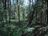 6001 Bear Creek Road - Photo 32