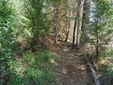 6001 Bear Creek Road - Photo 36