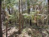 6001 Bear Creek Road - Photo 6