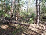 6001 Bear Creek Road - Photo 7