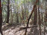 6001 Bear Creek Road - Photo 9