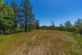 12377 Twin Pines Rd - Photo 12