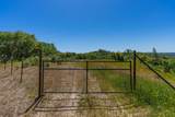 12377 Twin Pines Rd - Photo 15