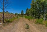 12377 Twin Pines Rd - Photo 29