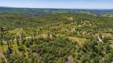 12377 Twin Pines Rd - Photo 35