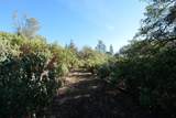 0 Sutter Highlands Dr. - Photo 15