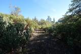 0 Sutter Highlands Dr. - Photo 16