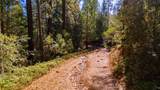 0 Forest Road Fs-2N07 - Photo 8