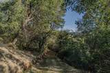 14238 Sutter Highlands Drive - Photo 10