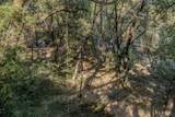 14238 Sutter Highlands Drive - Photo 14