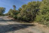 14238 Sutter Highlands Drive - Photo 16