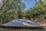 14238 Sutter Highlands Drive - Photo 4