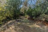 14238 Sutter Highlands Drive - Photo 7