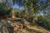 14238 Sutter Highlands Drive - Photo 8