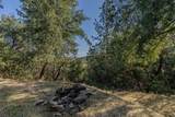 14238 Sutter Highlands Drive - Photo 9