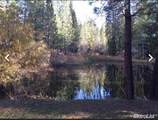 5055 Parkside Drive - Photo 4