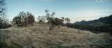 4049 Jaquima Drive - Photo 1