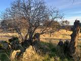 4049 Jaquima Drive - Photo 30