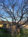 4049 Jaquima Drive - Photo 31